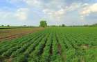 Teren mixt de vanzare, 4720 mp, acces asfaltat