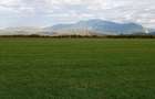 Teren intravilan Zarnesti la asfalt, cu priveliste panoramica - 6