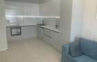 Apartament cu 2 camere de inchiriat in zona Drumul Taberei - 3