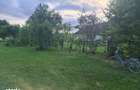 Vand casa cu gradina - 6