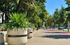 Apartament de inchiriat, 3 camere, 2 bai, Copou/Gaudeamus/Universitate - 11