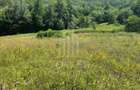 Teren intravilan 4600mp - 55 EUR/mp - EXCLUSIVITATE CISNADIOARA - COMI - 6