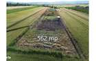 Teren intravilan 562mp | Golesti, Vrancea |