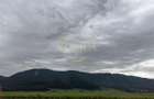 Teren Intravilan 63.741 Mp Cristian, Brasov | Potential Major Pentru - 6
