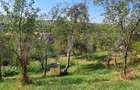 Casa cu teren generos de vanzare in Magurele, jude?ul Bist - Magurele (Bistrita-Nasaud) - 1
