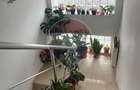 Casa 3 camere de vanzare in zona Tabacari - Focsani (Vrancea)