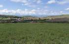 Teren 2500mp in Hamba str Florilor - 1