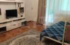 Apartament 1 Camera (Microapartament) Zona Centrala, 42 mp - Suceava (Suceava) - 4