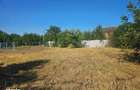 De Vanzare - Teren Intravilan 463mp Cazasu, Str.Cimbrisorului - 2