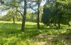 Teren extravilan, 10000 mp, Vicovu de Sus - 6