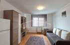 Vanzare Garsoniera Bulevardul Muncii zona Sinterom - 13