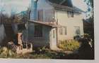 Casa Insula Mures Arad - 2