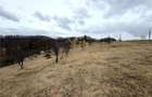 Teren 34.000 Mp | Serani Bihor - 1