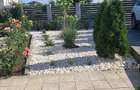 Vanzare casa cartier Veteranilor Park Romanescu