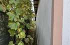 Casă cu 2 camere în Izvoru - 6