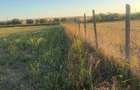 Teren intravilan 4.003 mp Frecatei, Tulcea - drum pe 3 laturi, curent, proprietar - 1