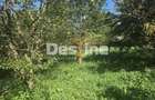 Casa Rustica cu Gradina Valea Doftanei - 16