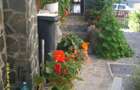 Vila de vanzare in Busteni Prahova zona Centrala - Valea Alba - 1