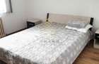 Apartament 2 Camere Calea Moldovei De Inchiriat