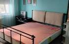 Apartament renovat mobilat si utilat zona Stadion - 14