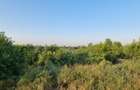 Teren Construcții intravilan de 1000 mp, în Clinceni - 6