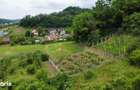 DE VANZARE Doua parcele de teren intravilan in Corunca-Valea Iubirii - 1