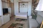 Inchiriere apartament cu o camera, tip Studio (Cubis 2, Tatarasi Sud) - 3