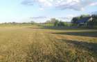 Teren intravilan de vanzare 20 ari Sacalaseni, Maramures | Proprietar