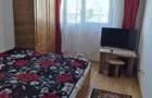 Apartament doua camere, Calea Severinului-zona Brico Depot - 3