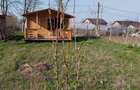 Teren de vanzare, 1139mp, acces asfaltat - 2