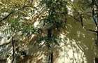 Apartament 2 camere Bucuresti, ID: R2841672 - 8