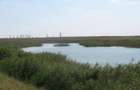 Balta Rovine 2 - Crunti, Ialomita 430000mp - 3