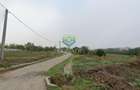 Teren 1200mp Simnicu de Sus | Romanesti | DE1106 Izvor