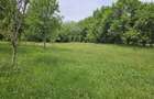 Teren intravlian 2046mp Campulung Arges