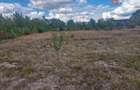 Teren intravilan de 1493 mp cu utilitati - Ianova - Ianova (Timis) - 7