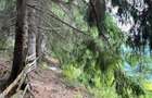 Teren intravilan Colibita 2300 mp panoramic