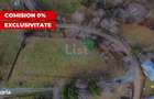 Teren intravilan, 2980 MP cu utilitati, Dealu Negru, aproape de Belis - 3