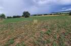 Casă cu 3 camere cu Teren 7000 Mp în Zvoriștea - 4