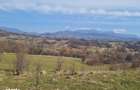 5 - 10 ari Teren pt cabana , picnic , relaxare , liniste , natura . - 1