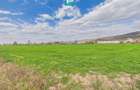 Teren extravilan, 1 ha, in orasul Sebis, Arad - 8