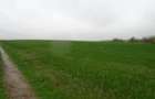 Teren extravilan 12500 mp, Valea Mare, Olt - 2