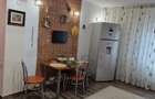 Cazare-apt. 2 camere ,ultracentral - 12