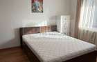 Apartament cu 2 camere si curte - Popas Pacurari, V. Lupului - 450 - 10
