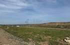 Teren intravilan 700 mp Paleu | PUZ aprobat - 3