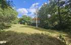 Casa individuala | 4 camere | Teren 4840 mp | Sohodol | Bran - 19