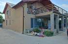 Casa / vila de vanzare - 2