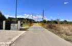 Corbeanca 5000 mp | deschidere 22 m la drum asfaltat | padure | utilit - 1