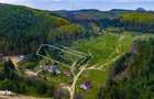 Teren intravilan de 1 ha cu vedere la munte Zarnesti, Brebina - 7