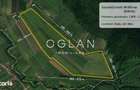 Teren 8,95 ha Rosia Sibiu Comision 0% - 1