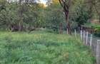 Casa cu gradina si pomi fructiferi - teren 2401 mp - loc. Moldovenesti - 5
